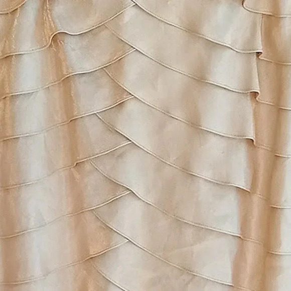 Nina Nischelle Champagne Beaded Ruffled Floor Length Sheath Formal Dress Sz 18 - Picture 3 of 7